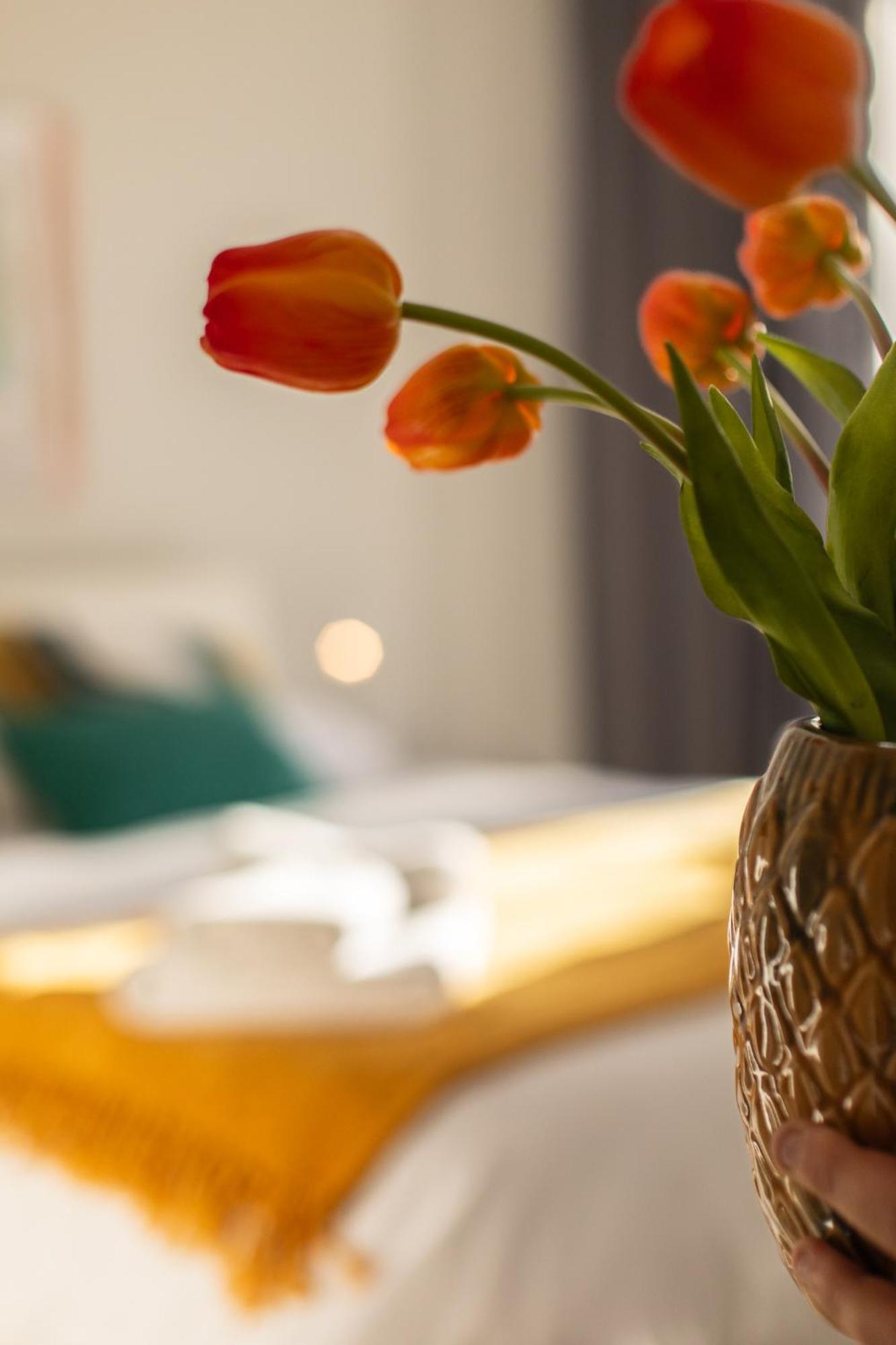 Veigas De Iria - Apartamento Turistico Vut Padrón Zewnętrze zdjęcie